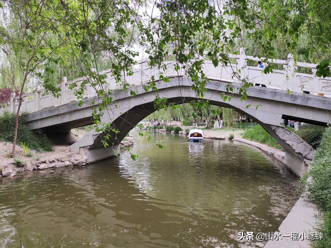 长安公园不愧是石家庄公园老大，牡丹花开真国色,游人如织来长安