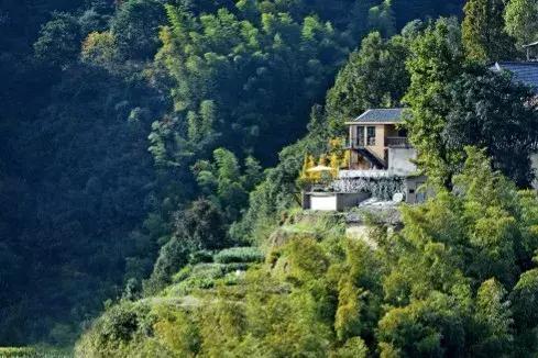 浙江最具有设计感的民宿,松阳全球十大必睡民宿