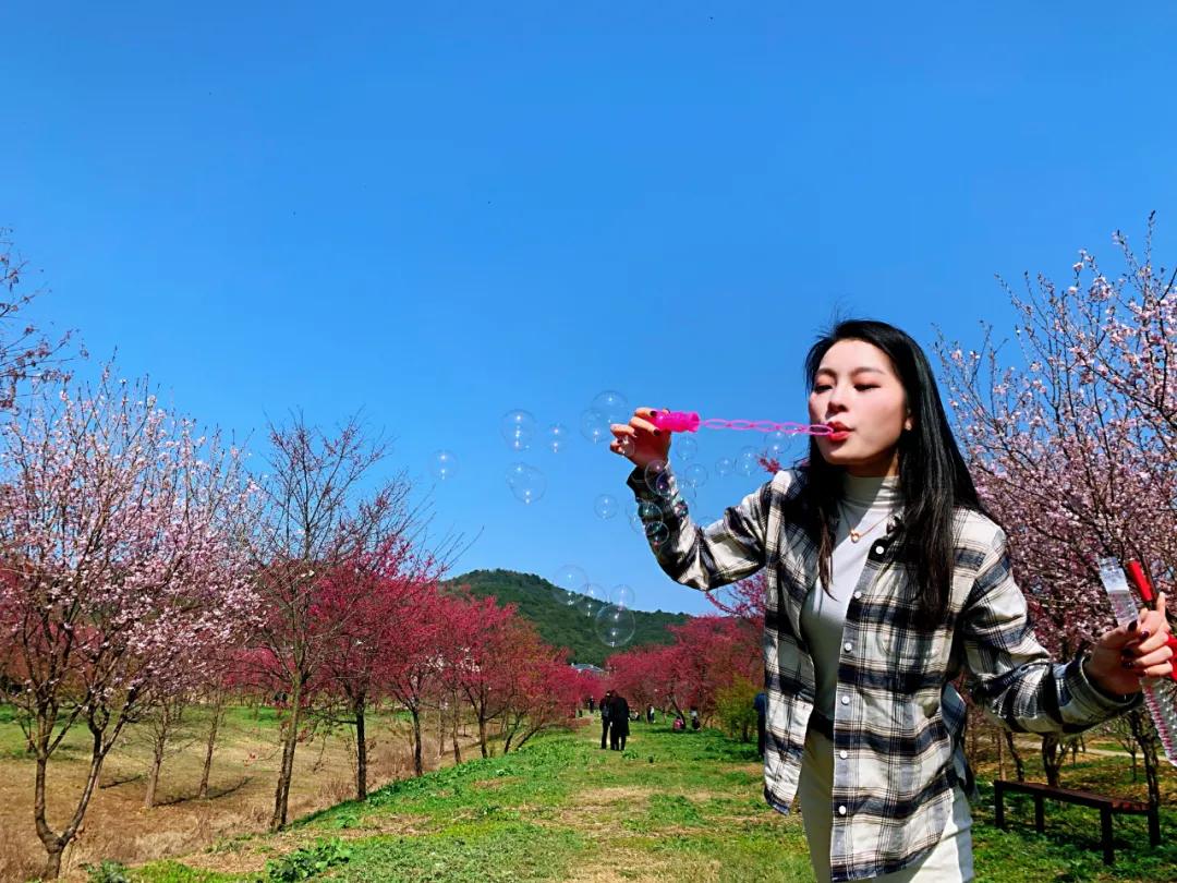 好嗨“游”（11）|这一片早樱还不去赏，错过又得等一年