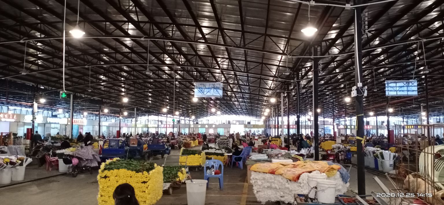 逛岭南花卉市场攻略,岭南芳村花卉批发市场游玩的美文