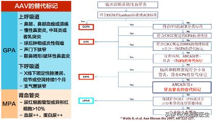 「免疫相关不良妊娠答疑解惑40」——系统性血管炎