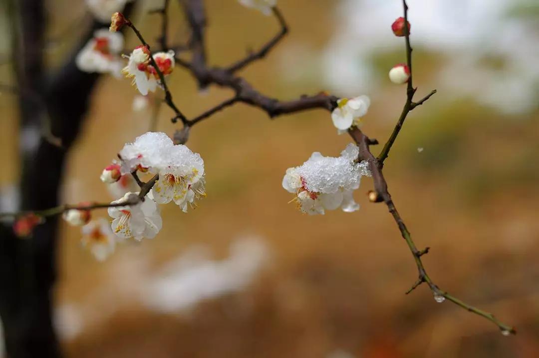 《中国诗词大会》点评毛*东泽**诗词：至情至性，大气磅礴