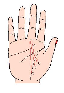 看手相可以预测什么,手相能预测考试吗