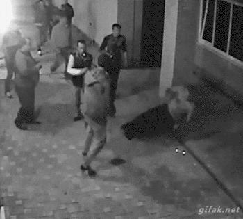 喝水时的搞笑表情包,跑步表情包搞笑图片高清