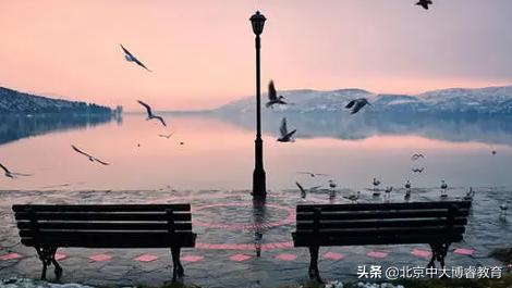 中大博睿教育,中大博睿教育咨询电话