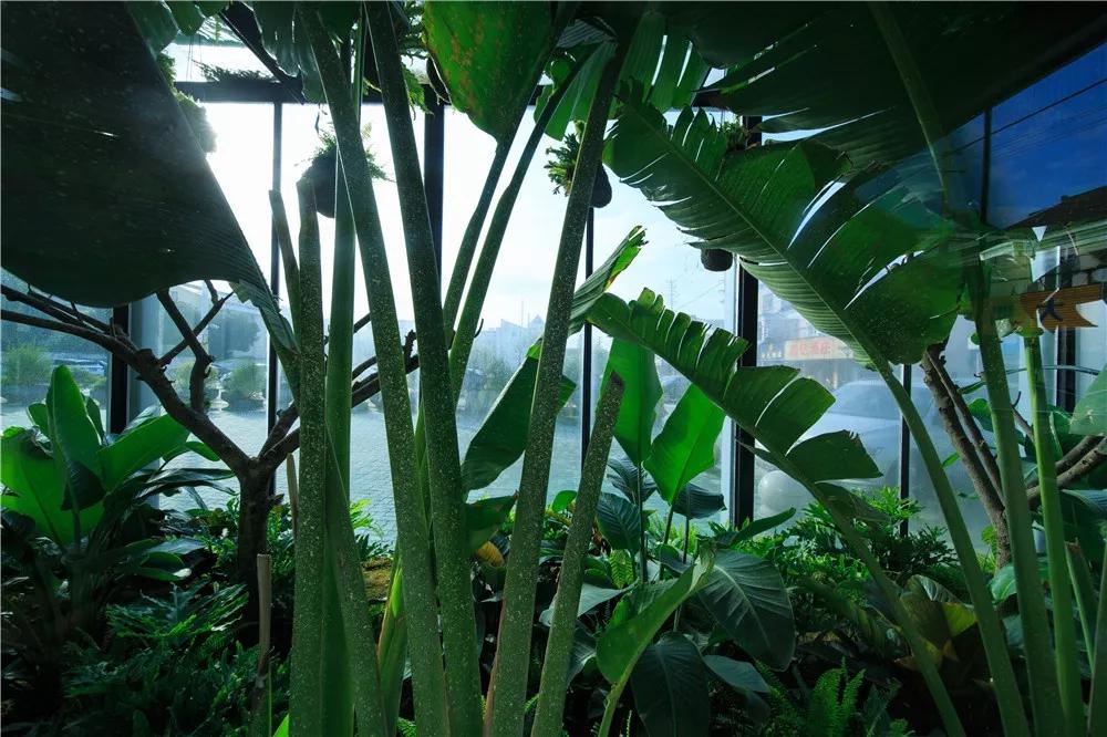 探秘！10000㎡打造世界烘焙商业新物种！！！（系列一）