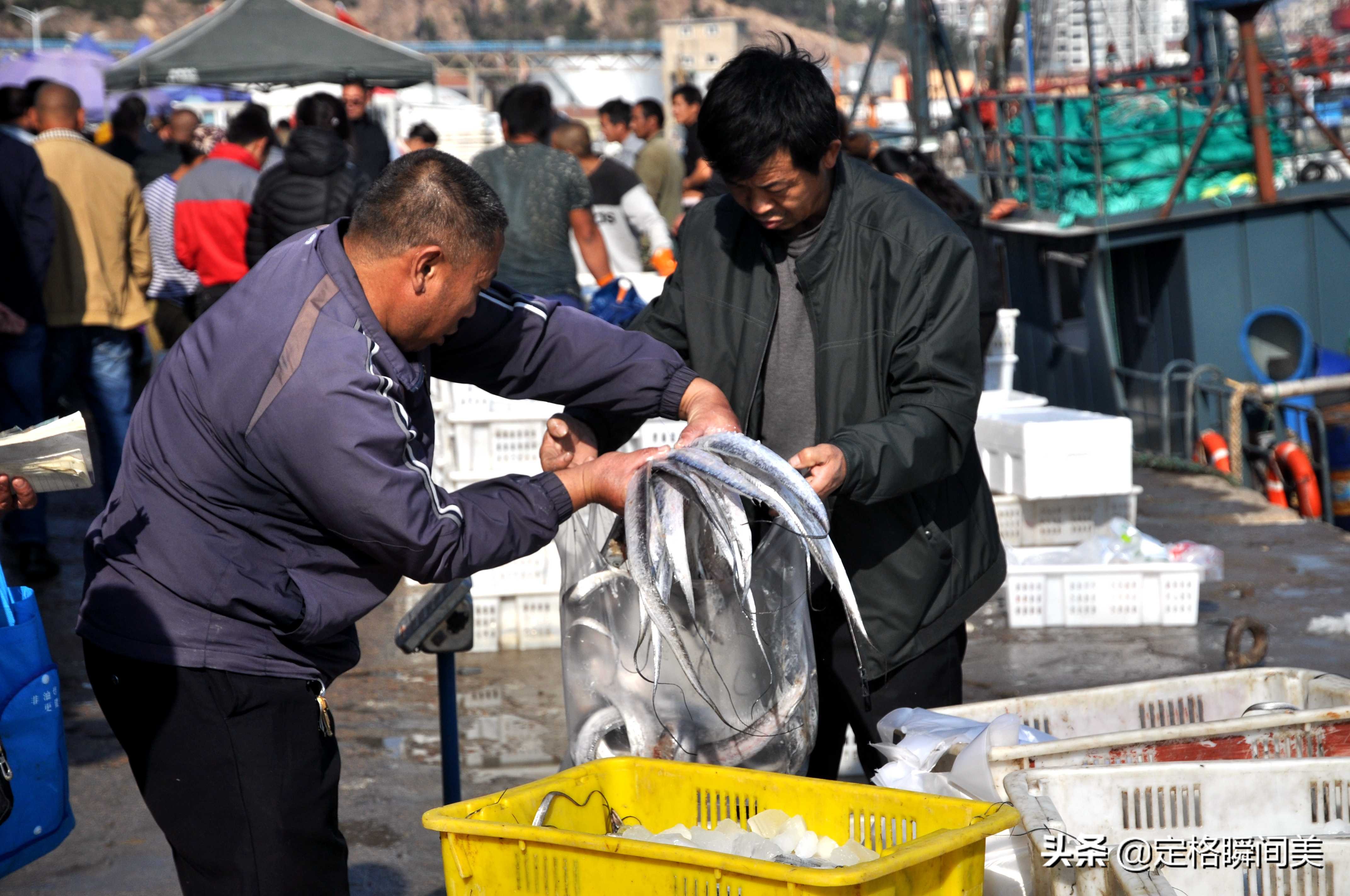 青岛开海海鲜种类,青岛开海后的海鲜价格