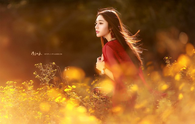 抚摸将逝的秋韵,珍惜经历的流年