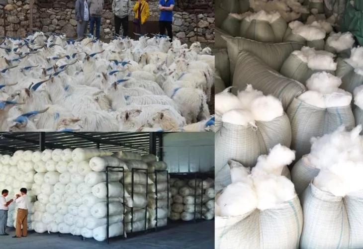 羊绒围巾很温暖,流行的羊绒围巾