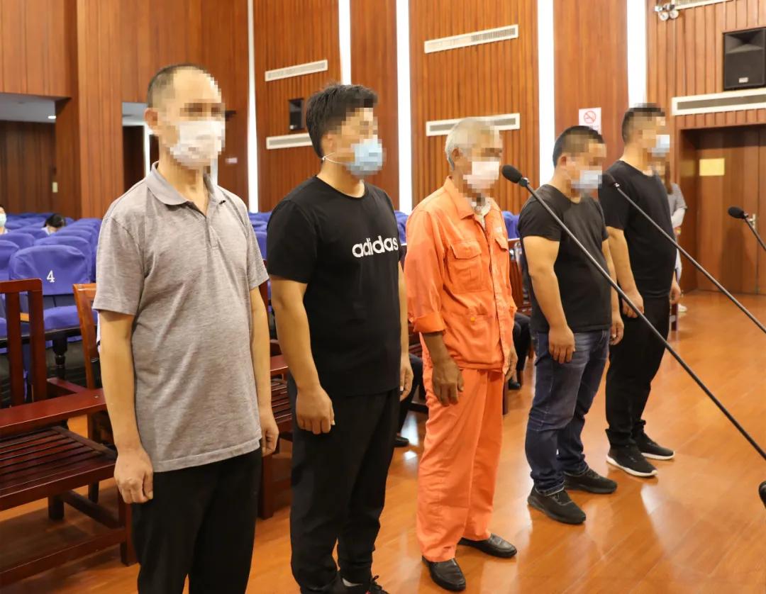 最高检长江经济带典型案例第三批,上海长江经济带