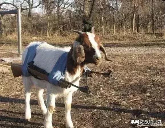 向前一小步文明一大步找亮点,向前一小步文明一大步全文