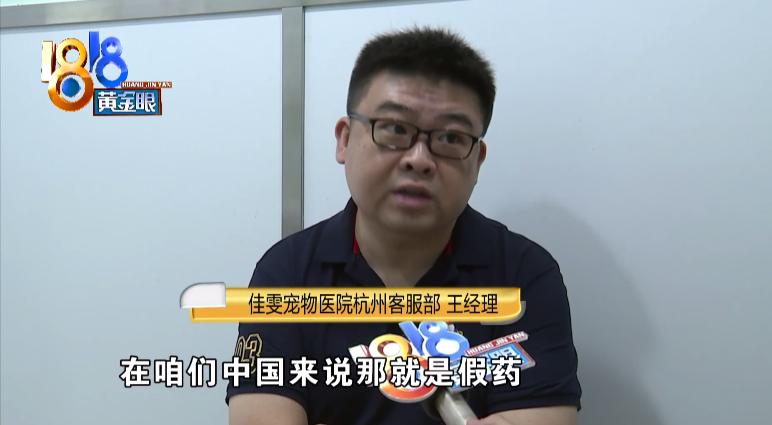 蓝猫传腹症状会死吗,蓝猫被检查出脑瘫