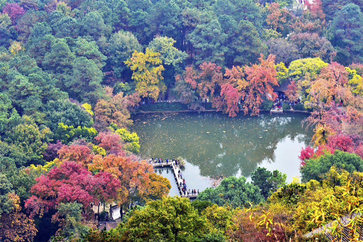 秋天苏州游玩,苏州旅游攻略秋天