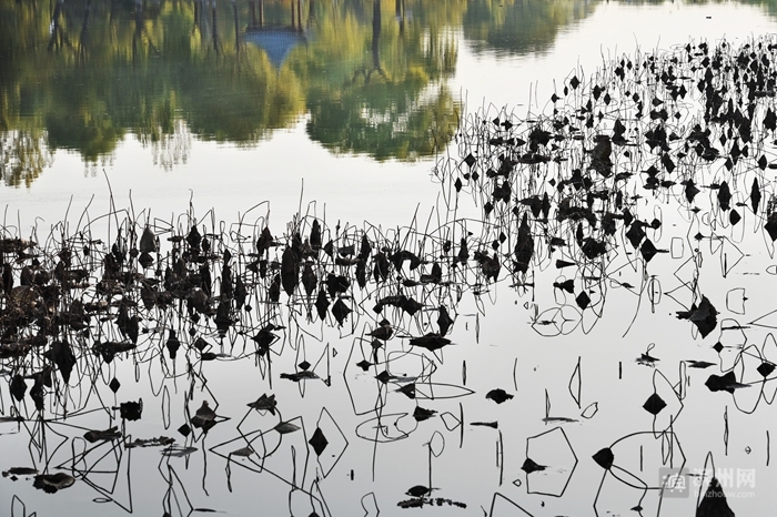 滨州摄影师吕维君：用心感受每一次快门的灵动