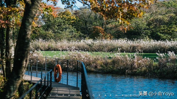 济州岛最值得去的地方,来济州岛第一天去哪玩