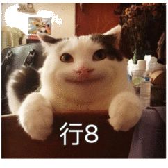 路由器选购和使用技巧,路由器选购和配置