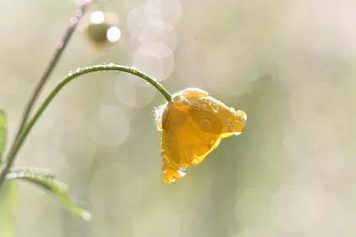 十首最美婉约诗词,十大婉约诗词