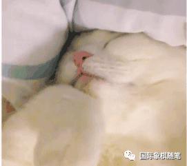 国际象棋主播,国际象棋抖音直播