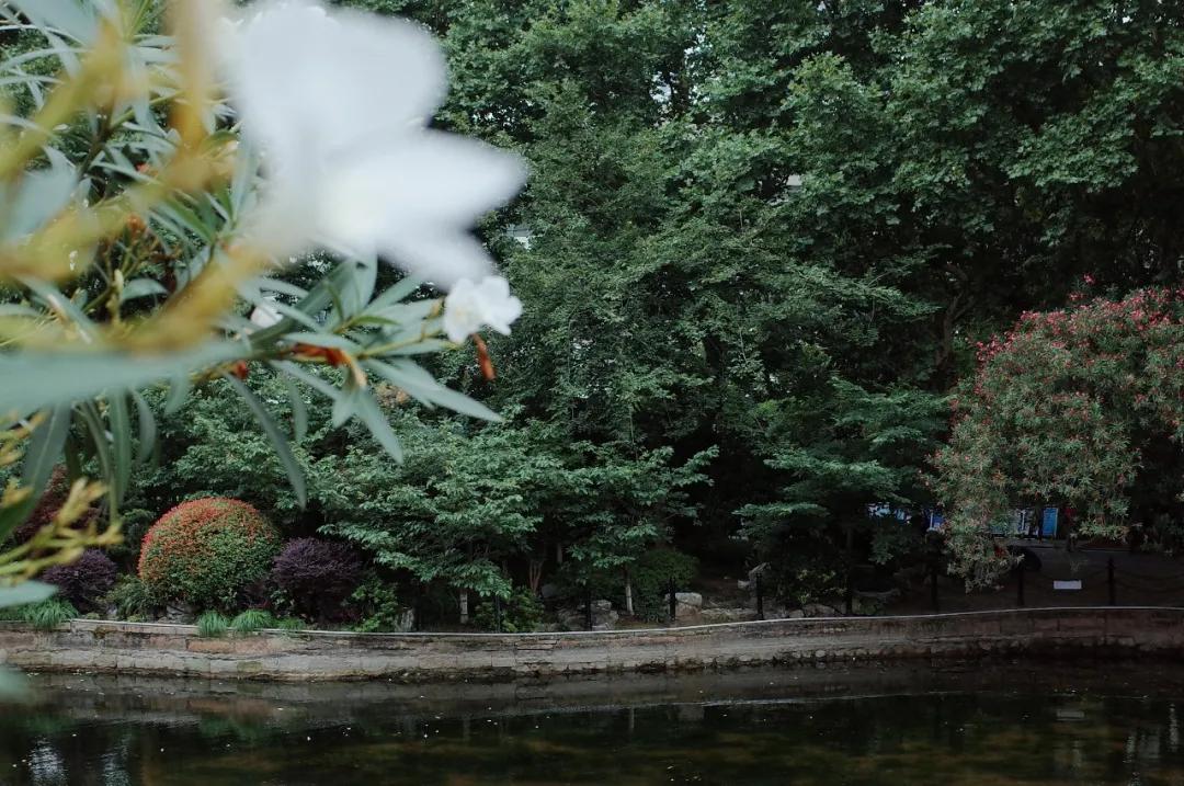 我不许你只是路过上海虹口