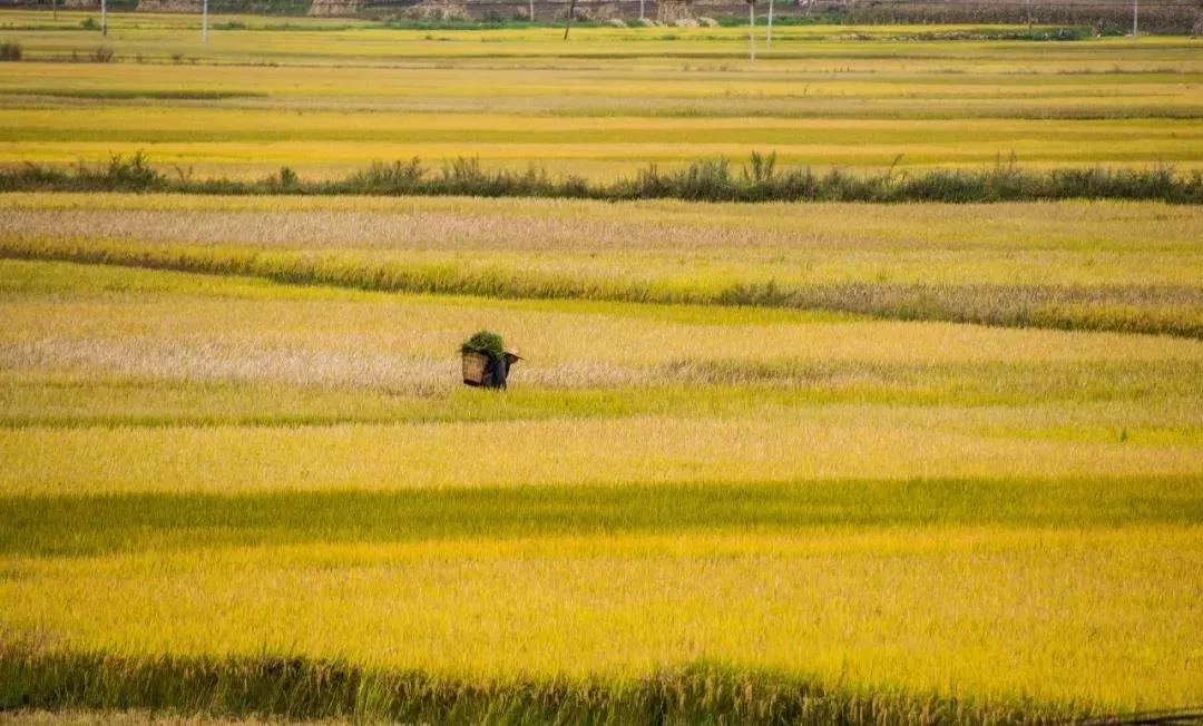你找到属于自己的颜色吗,你找到自己的风格了吗