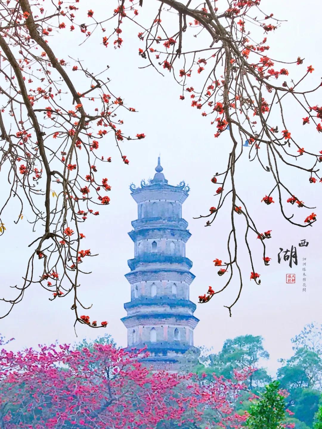 惠州亮灯为武汉加油,惠州武汉加油