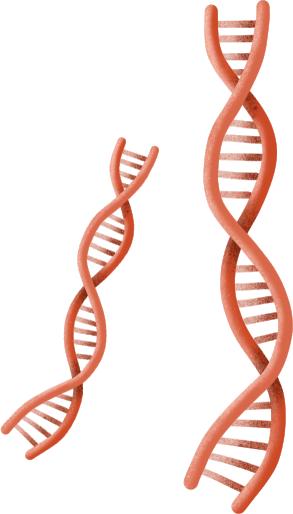 一辈子当老师,如果能成为一名老师我会怎么样