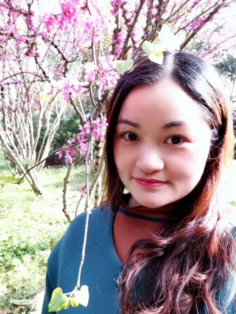 游山西村教学实录,游山西村教案设计思路