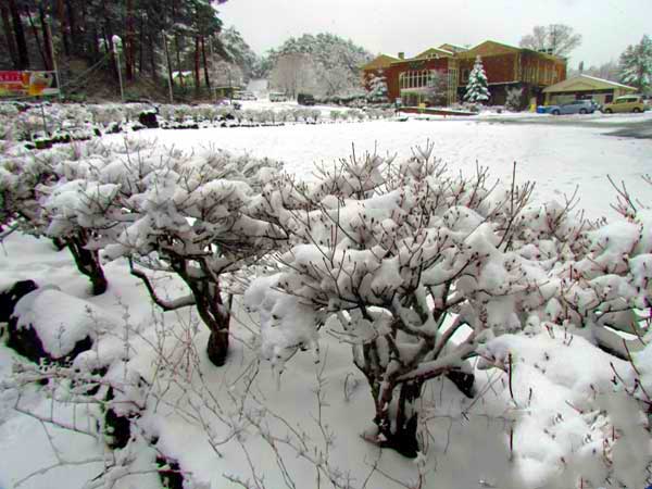 日本埼玉浦和,日本女团琦玉体育馆