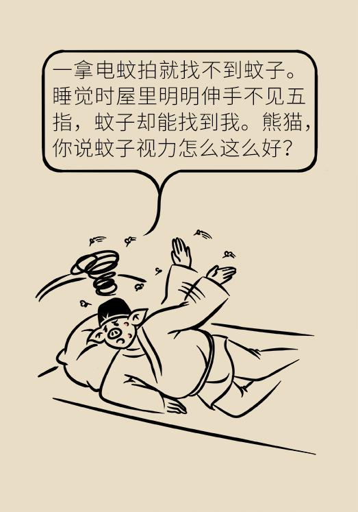 被蚊子吵得睡不着失眠了,被蚊子吵得睡不着