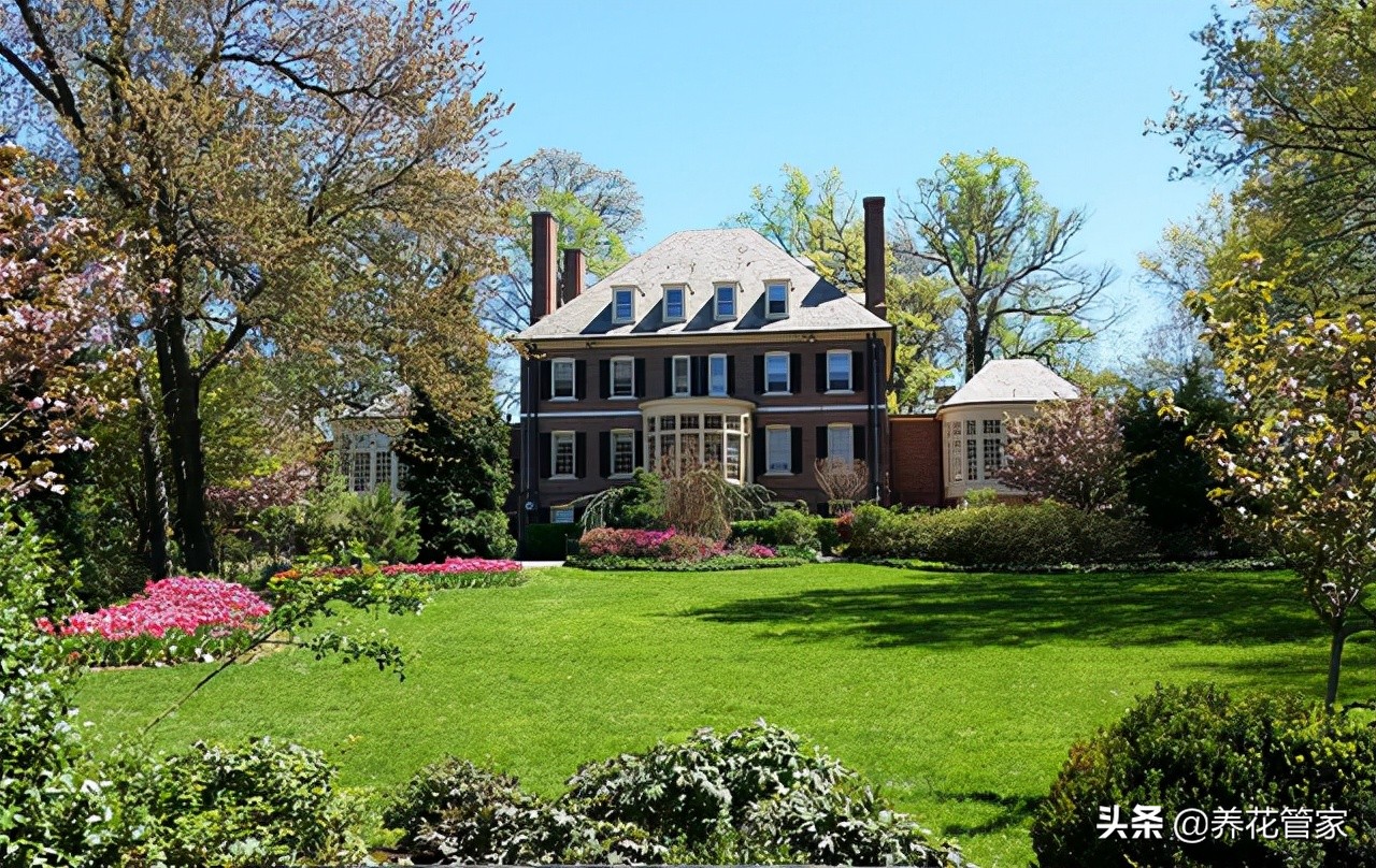 如何养护草坪一年四季都绿,庭院草坪的四季养护管理