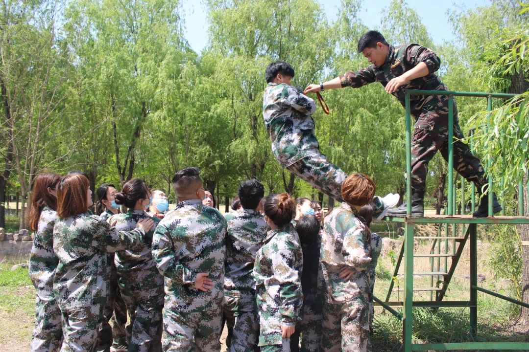 拓展训练背摔项目讲解,信任背摔