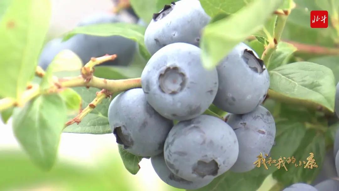 丹东自然美景,丹东大自然