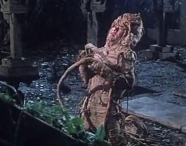 捉妖故事：整村人得怪病都在夜里被偷吻过追查发现古怪人参精