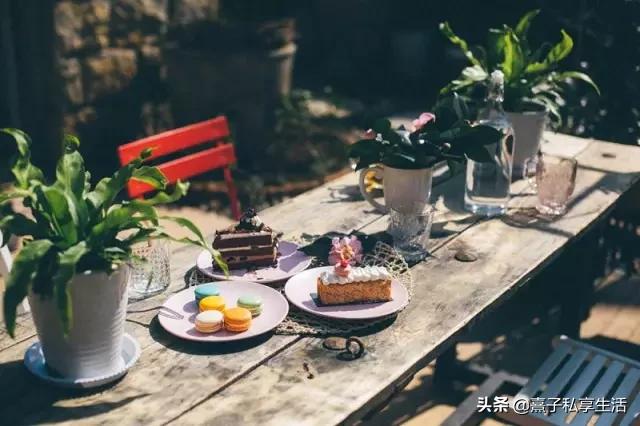 怎么打造低成本花园,怎么用几十元造花园