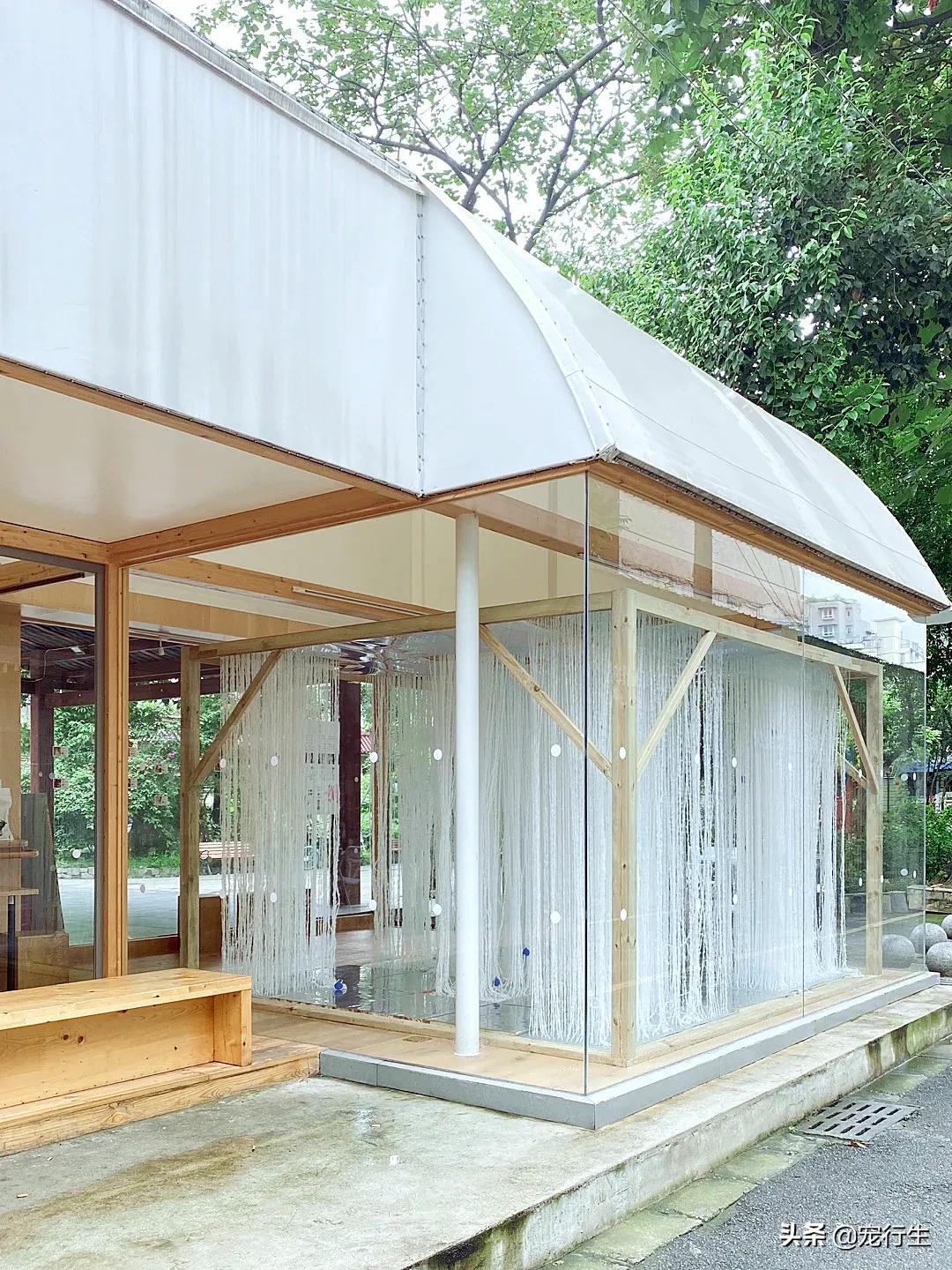 这家宠物快闪集市，怎么拍都好看，学会用宠物视角看世界