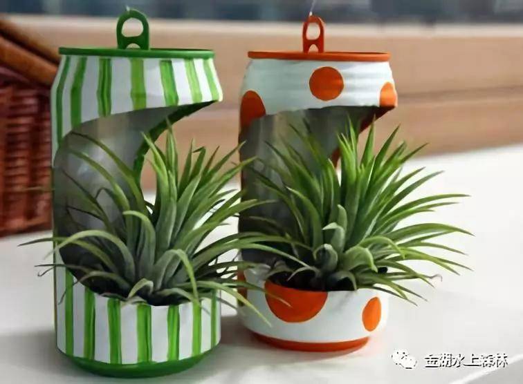 亲子游推荐地金湖水上森林景区,金湖水上森林景区攻略视频