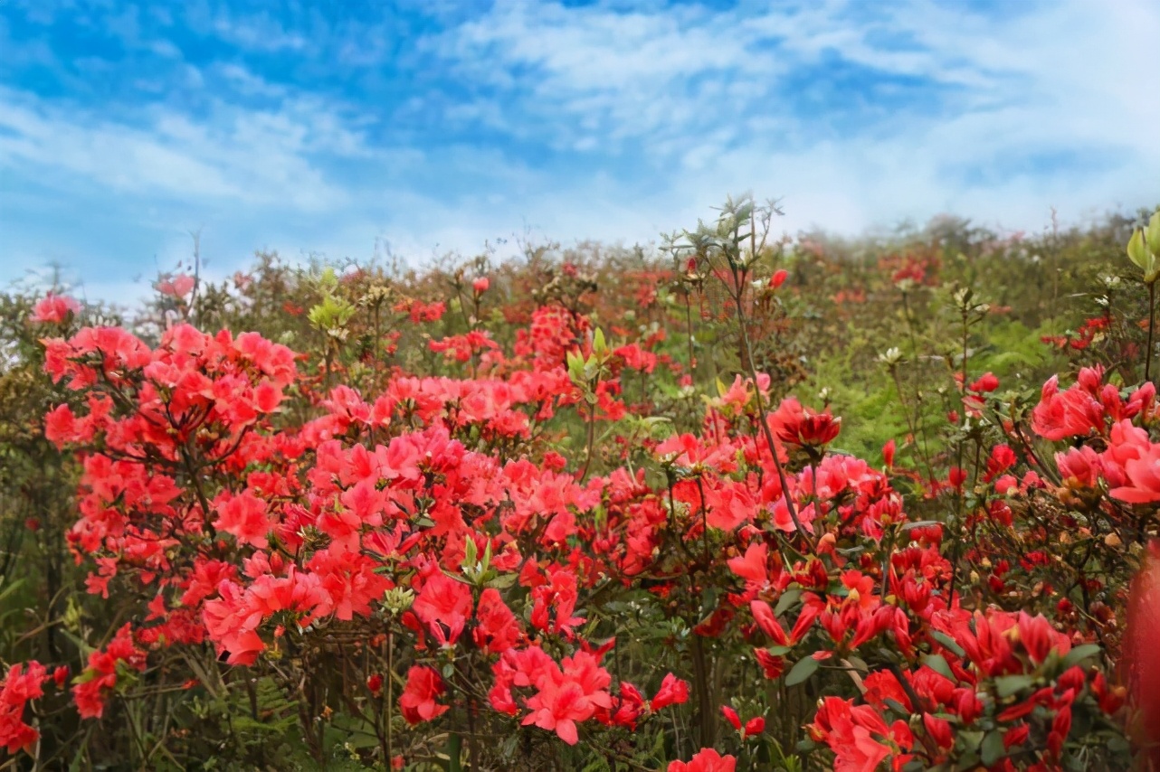 石阡温泉小镇99元套票,石阡古温泉团购5人票