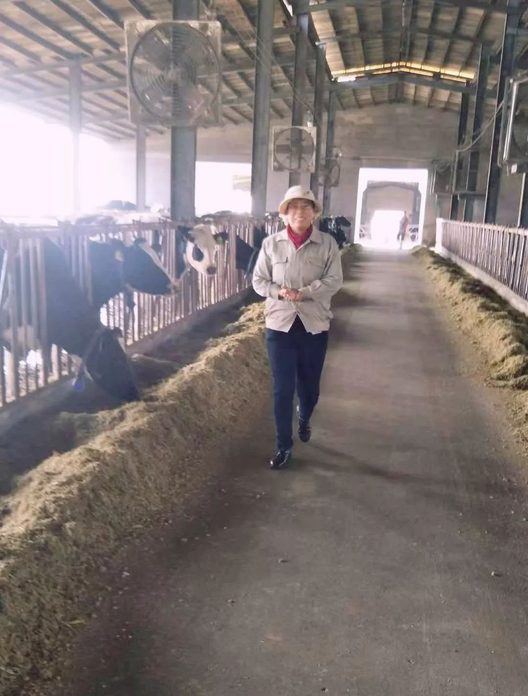 威海嘉盛乳业有限公司纯牛奶,威海嘉盛乳业早餐奶