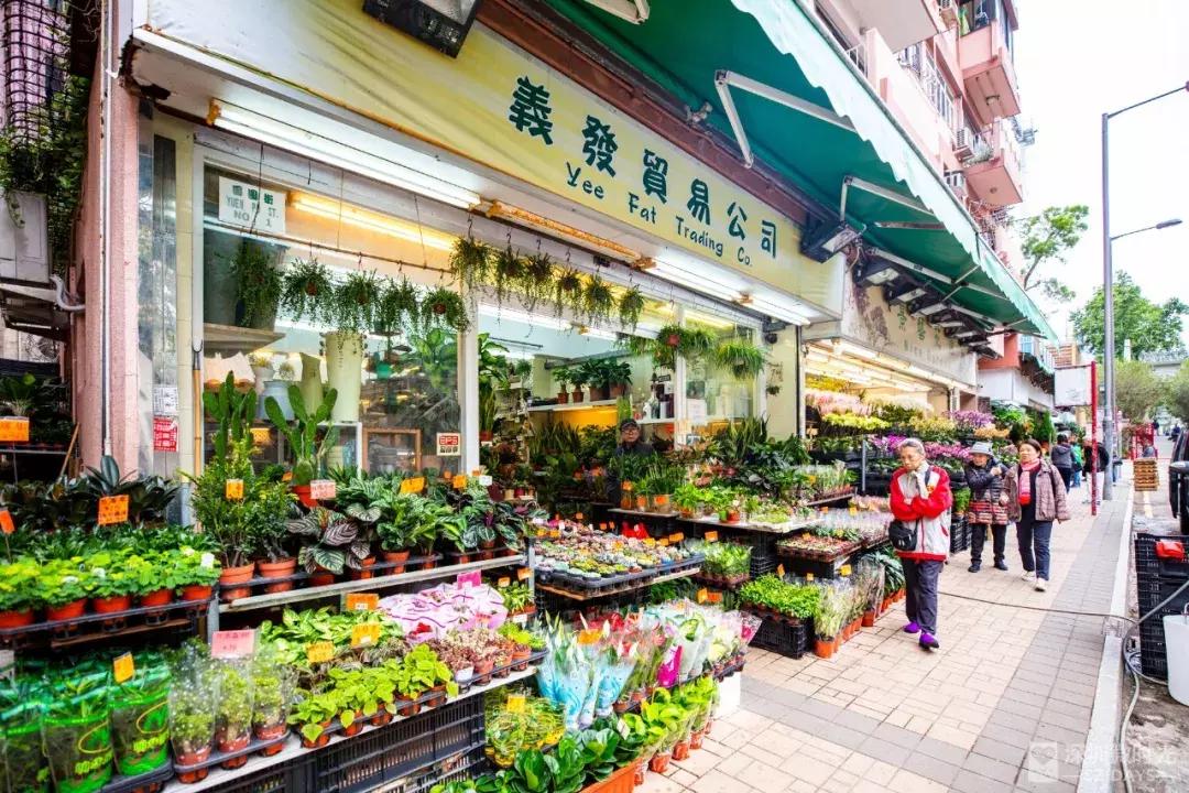 香港小众地点大全,香港最好逛的地方