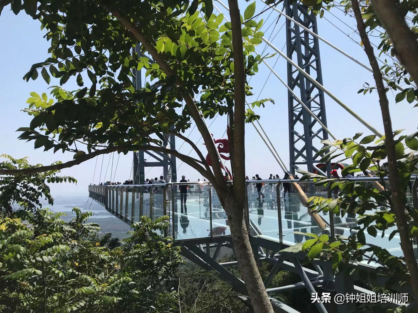 呀诺达半日游价格,呀诺达门票70岁有优惠吗