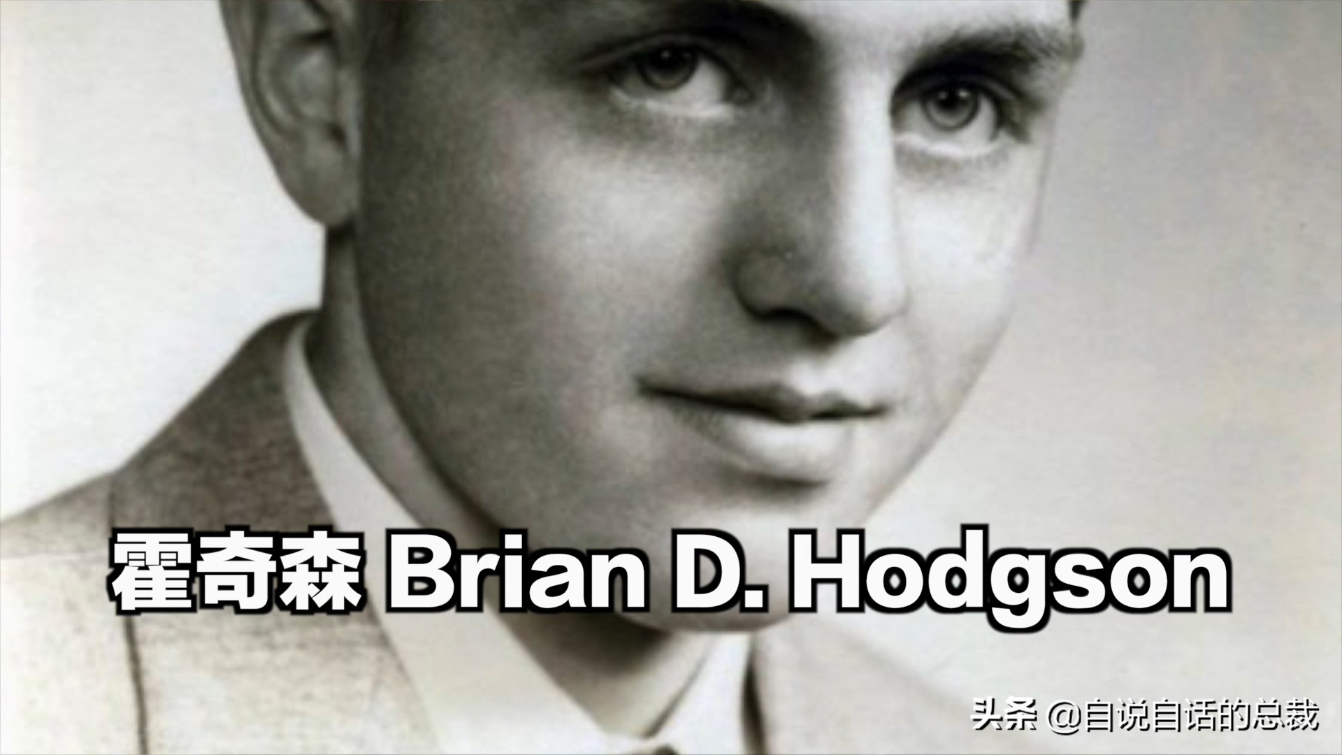 蛤、蚶、蛏、蚝、蚬有什么区别？这是一群美味海怪与人类的故事