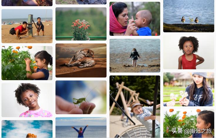 免费的无版权图片素材网站,9大高清无版权图片素材网站推荐