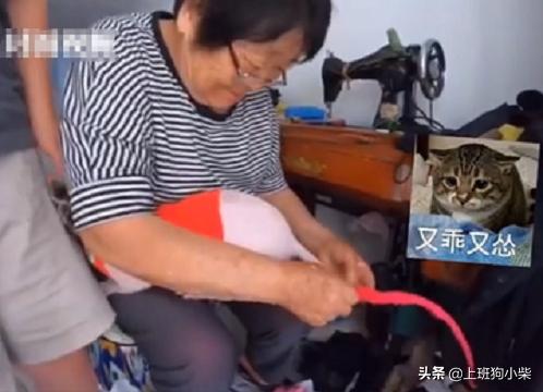 东北奶奶第一次见无毛猫,老奶奶给无毛猫织毛衣