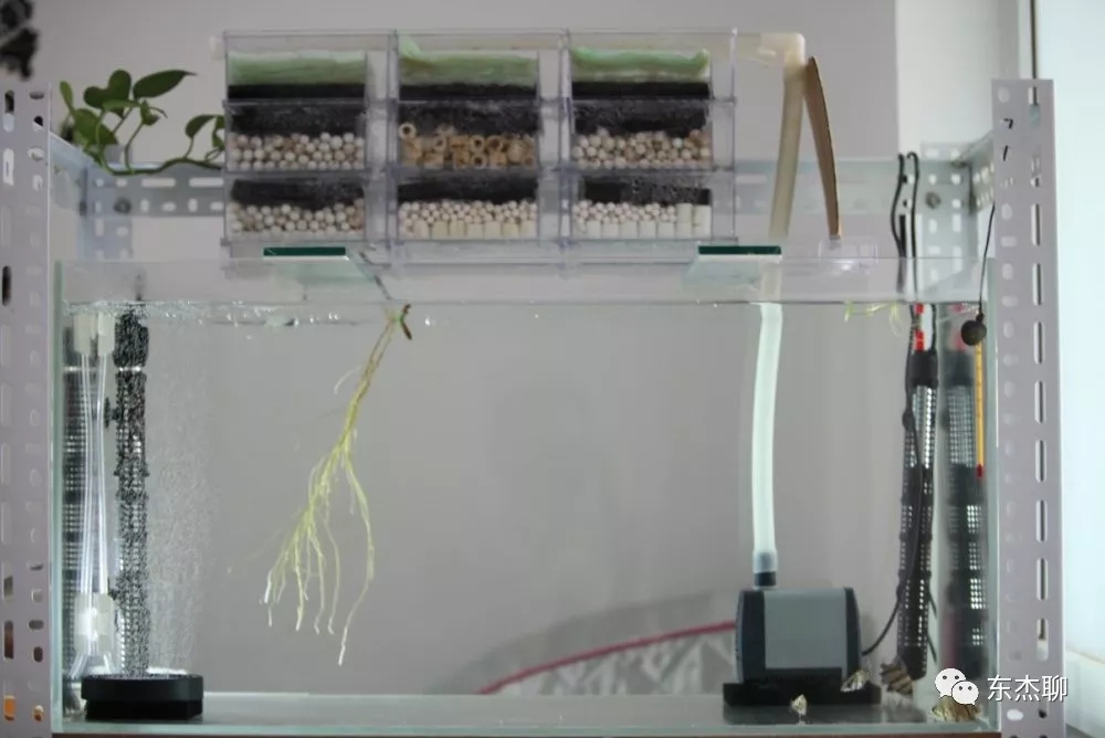 养珊瑚缸最佳过滤材料有几种,珊瑚海缸过滤