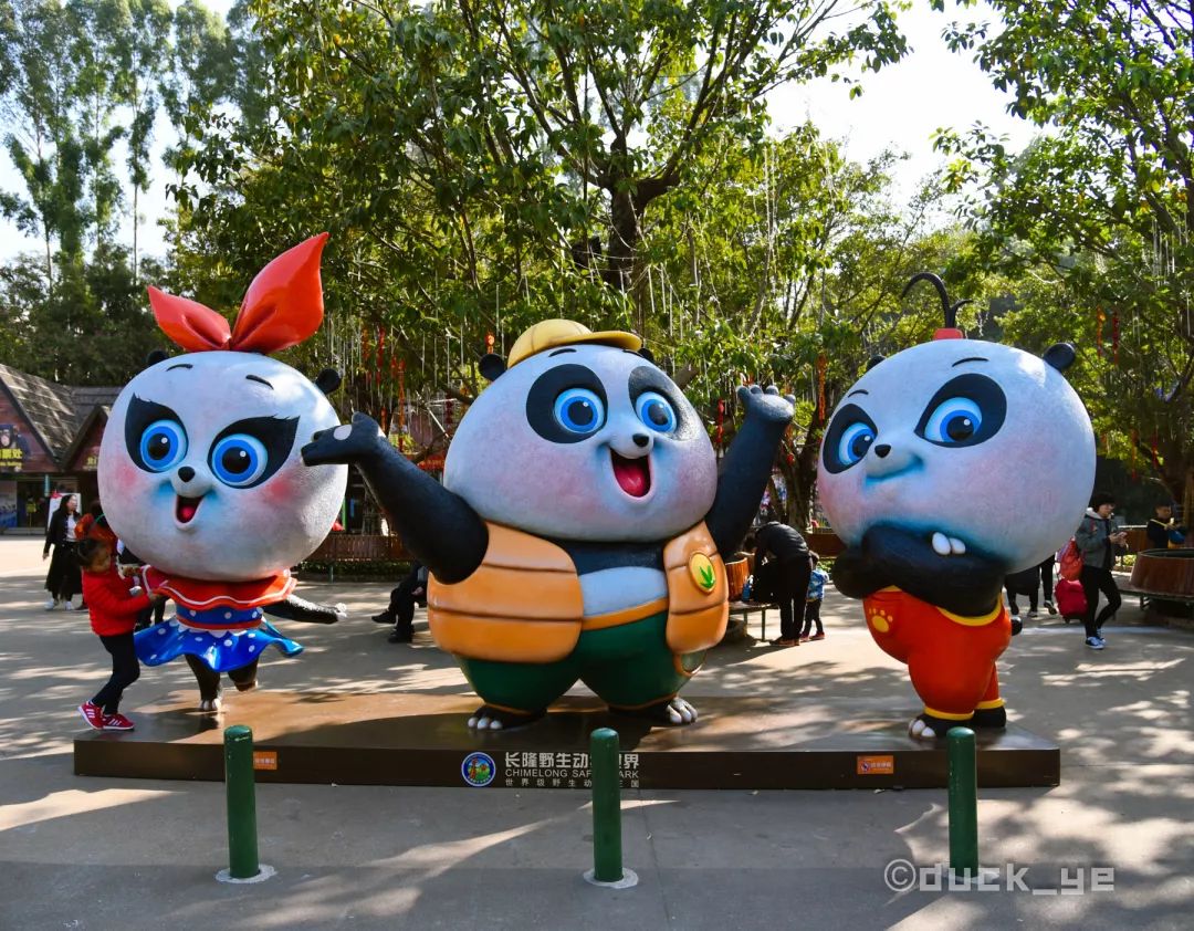 去广州长隆野生动物世界学到什么,5.1广州长隆野生动物攻略