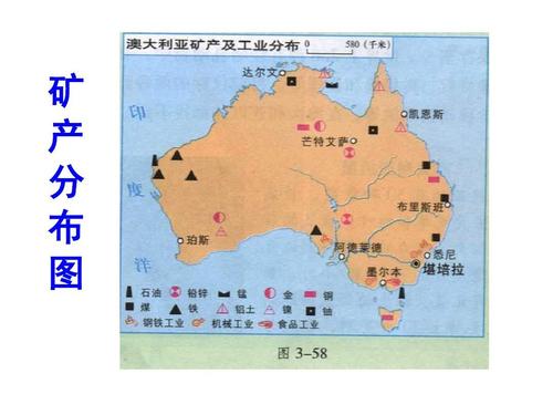 澳大利亚冷知识，独特的动物，你知道几个？