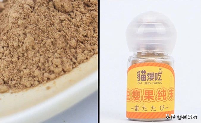 猫咪省钱好物维生素,猫咪必买的10种单品