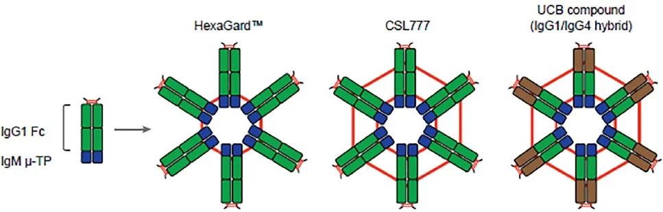 下一代抗体改造之路--自免疫疾病,上)
