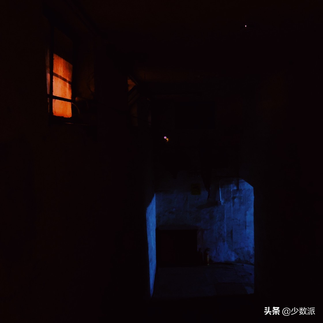 新手如何学会用苹果手机拍好照片,如何拍100张照片苹果