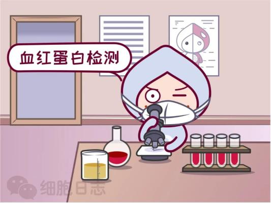 献血被告知血色素低,献血被告知血红蛋白偏少